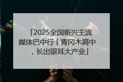 2025全国新兴主流媒体巴中行丨青冈木屑中，长出银耳大产业