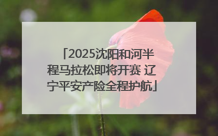 2025沈阳和河半程马拉松即将开赛 辽宁平安产险全程护航