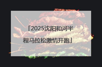 2025沈阳和河半程马拉松激情开跑