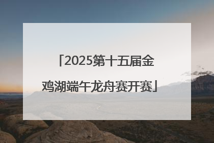 2025第十五届金鸡湖端午龙舟赛开赛