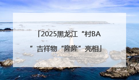2025黑龙江“村BA”吉祥物“隆隆”亮相