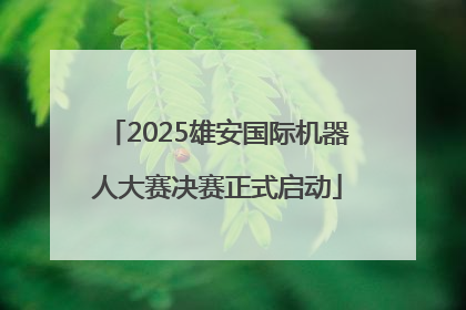 2025雄安国际机器人大赛决赛正式启动