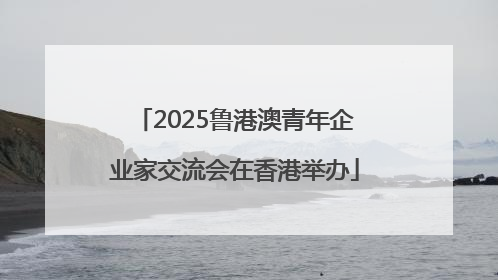 2025鲁港澳青年企业家交流会在香港举办