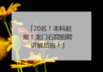 20名！本科起报！龙门石窟招聘讲解员啦！