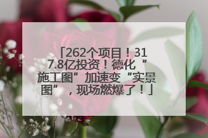 262个项目！317.8亿投资！德化“施工图”加速变“实景图”，现场燃爆了！