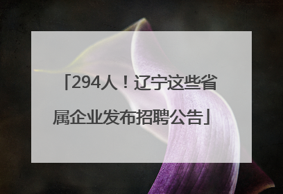 294人！辽宁这些省属企业发布招聘公告