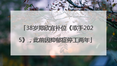 38岁郑欣宜补位《歌手2025》，此前因抑郁症停工两年