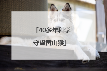 40多年科学守望黄山猴