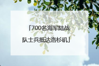 700名海军陆战队士兵抵达洛杉矶
