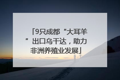 9只成都“大耳羊”出口乌干达，助力非洲养殖业发展