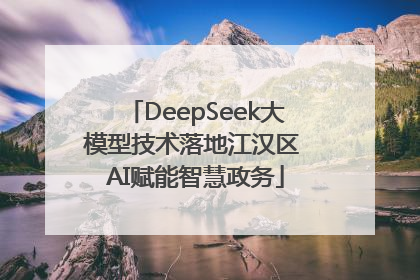 DeepSeek大模型技术落地江汉区 AI赋能智慧政务