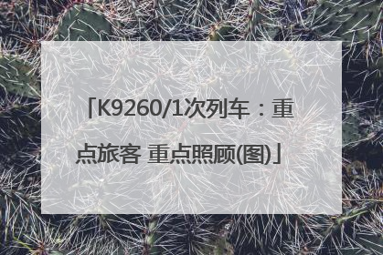K9260/1次列车：重点旅客 重点照顾(图)
